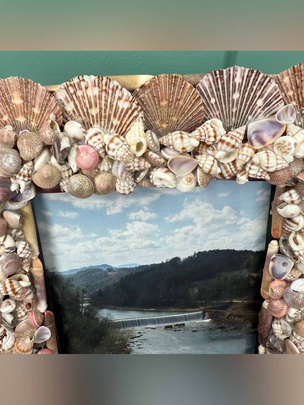 Seashell Shell Photo Picture Frame Natural Coastal Beachy Beach House Decor - Picture 6 of 16